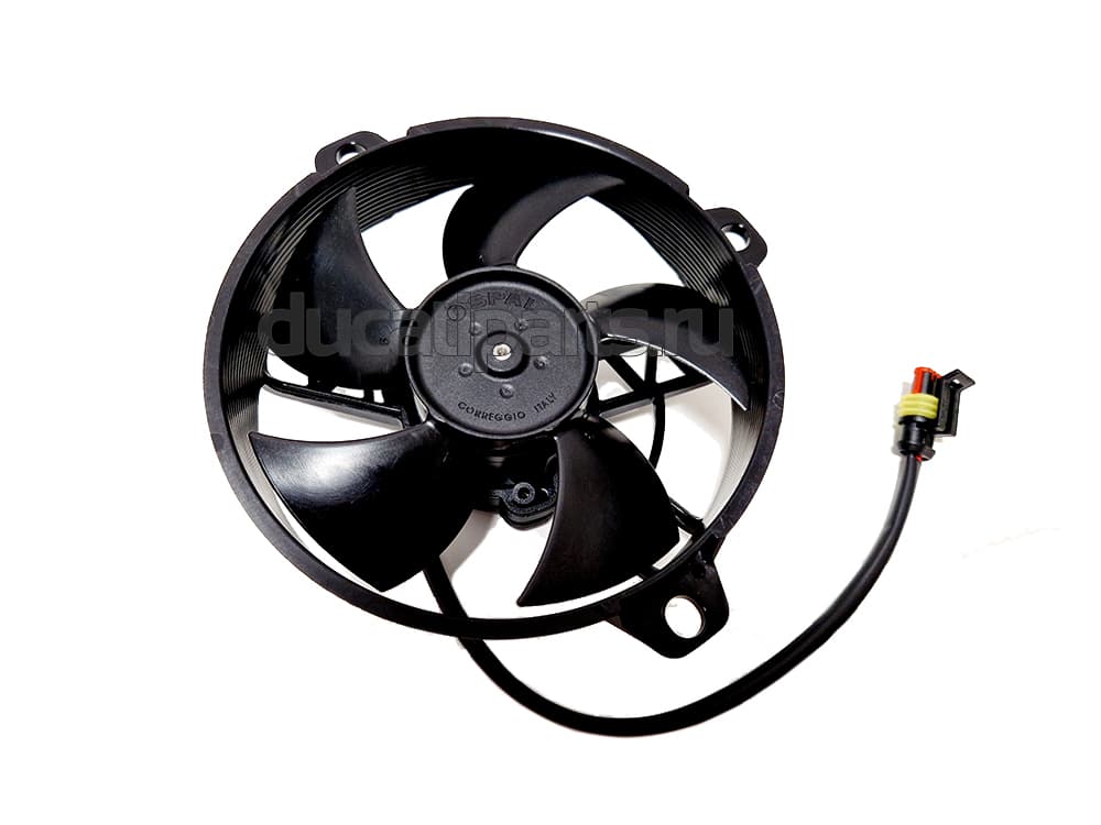 ELECTRIC FAN