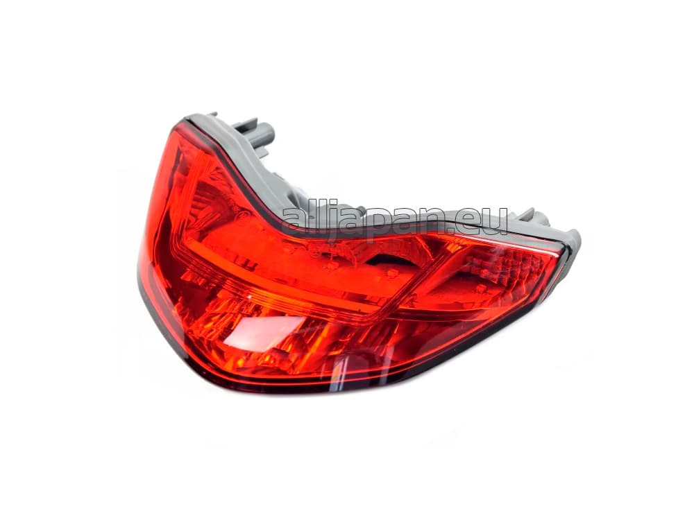 TAIL LIGHT
